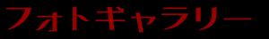 フォトギャラリー